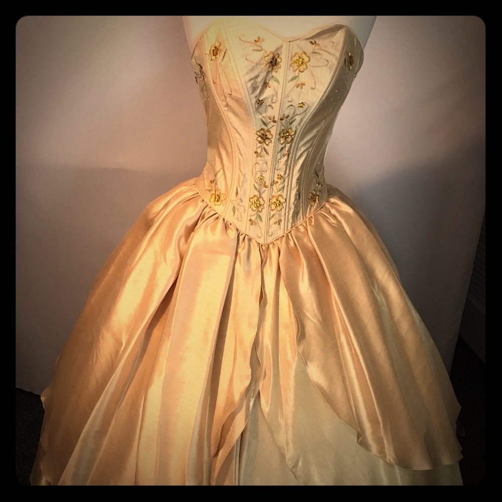 Quinceañera/ Prom Dress